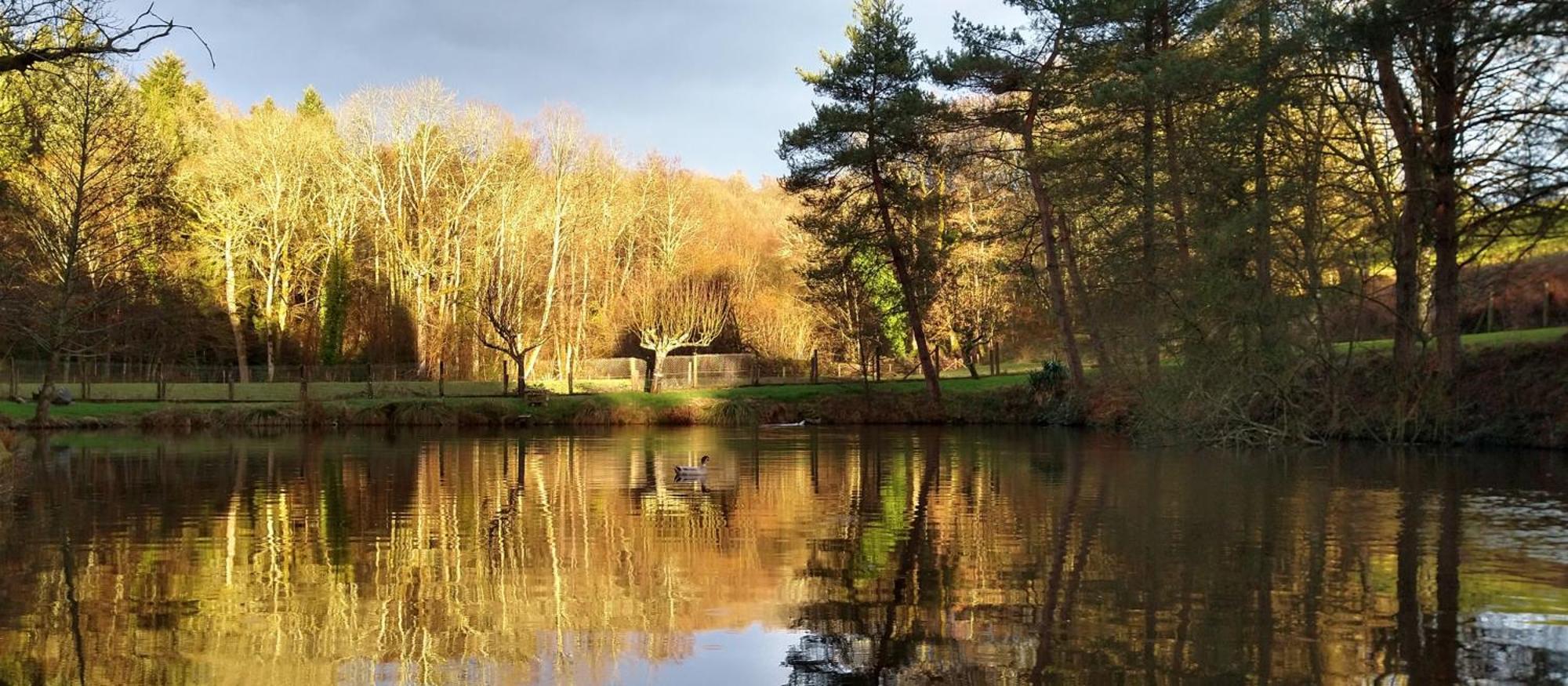 Le Petit Lac Bourganeuf ภายนอก รูปภาพ